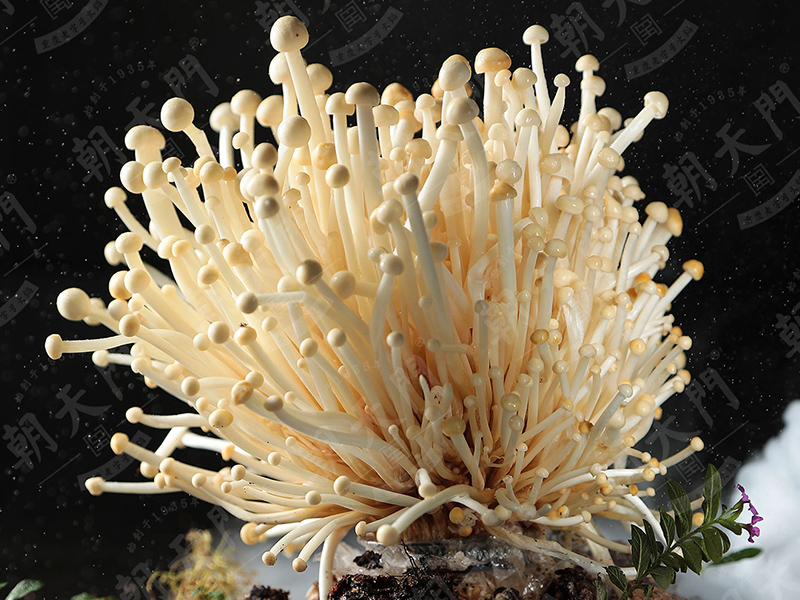 火鍋加盟店常見宣傳技巧有哪些？